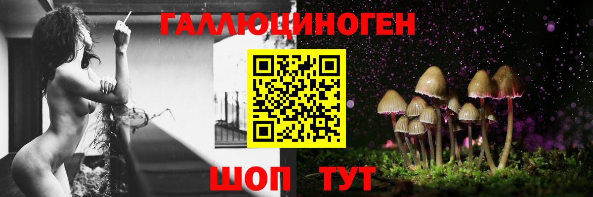 Псилоцибиновые грибы MAGIC MUSHROOMS Кунгур